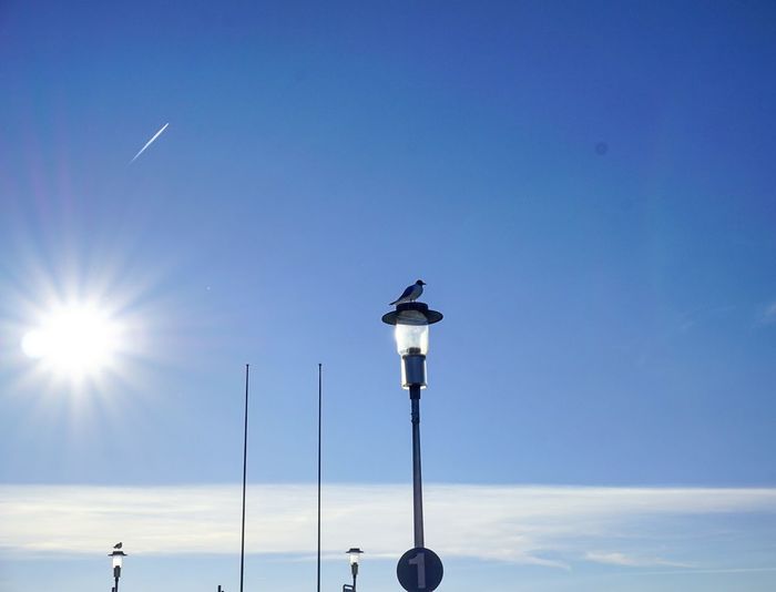 Low angle view of street light against sky.