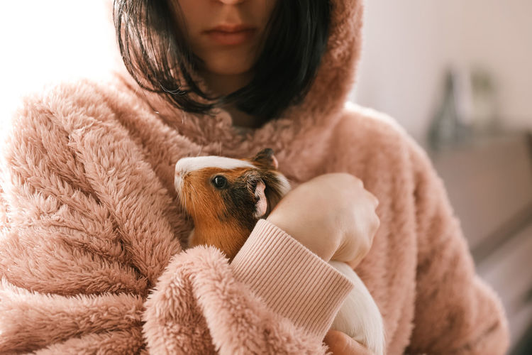 Cute guinea pig in the girl's arms, child and animal concept