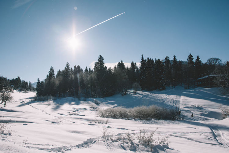 Snow covered trees against sky during winter