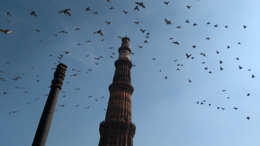 Low angle view of birds flying over column