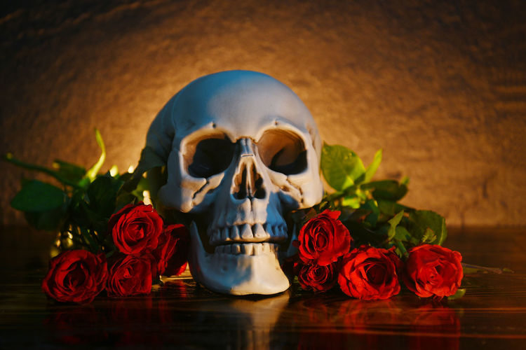 Close-up of roses and skull on table