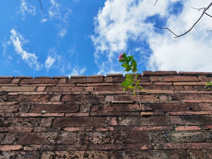 Low angle view of brick wall by building against sky