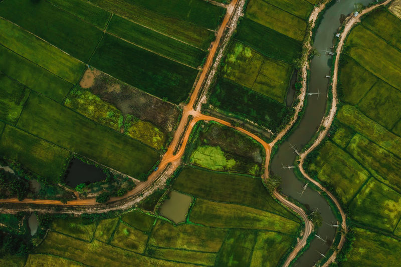 Aerial view of agricultural field