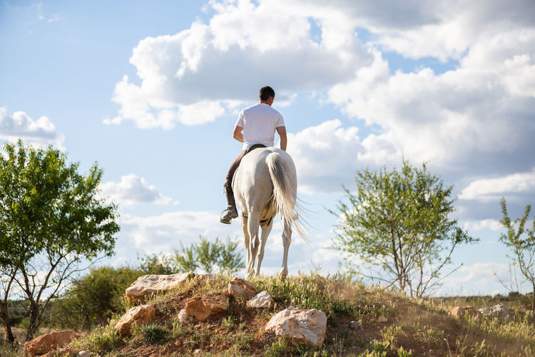 Rear view of man riding horse