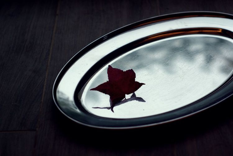 Close-up of maple leaf on table