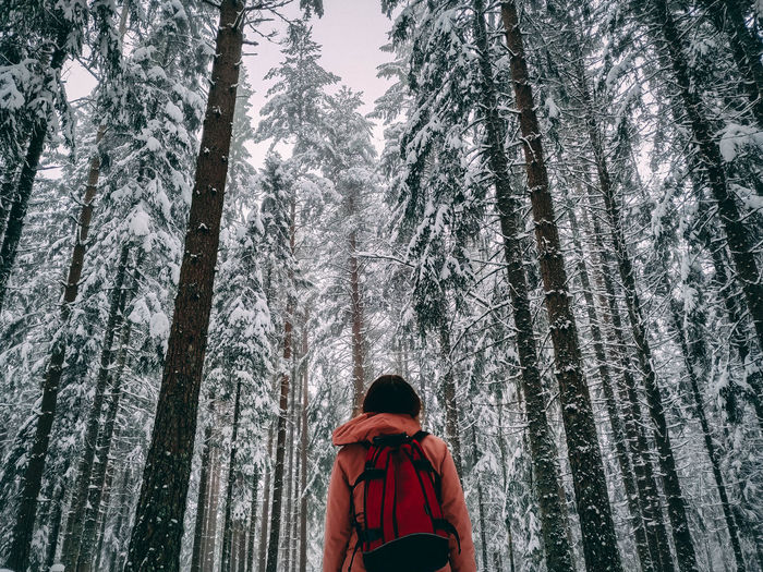 Rear view of person in snow covered forest
