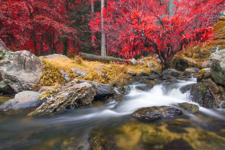 Stream flowing through rocks in forest during autumn