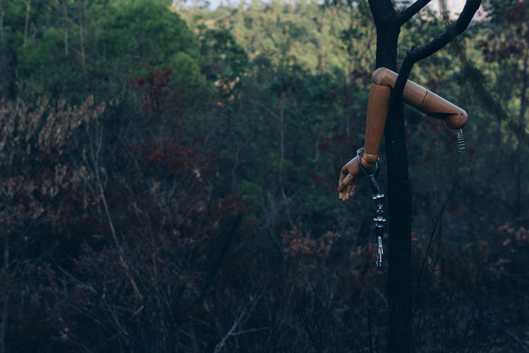 Close-up of mannequin hanging on tree against forest