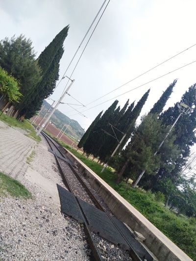 Railroad tracks by trees against sky