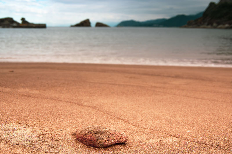 Pumice stone on a orangish sandy beach free of any footprints or human presence.