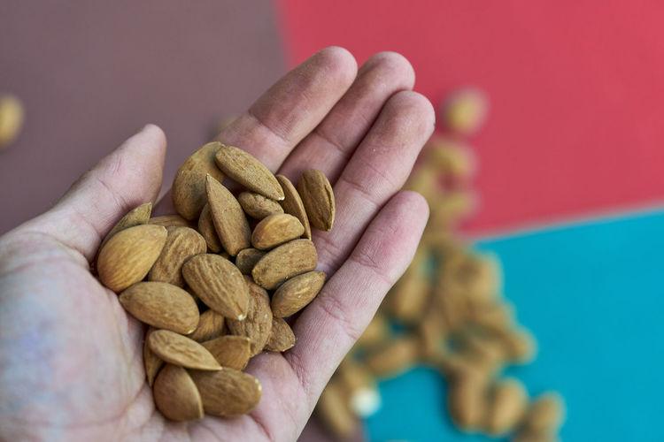 Close-up of hand holding almonds