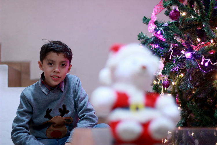 Portrait of boy with christmas tree