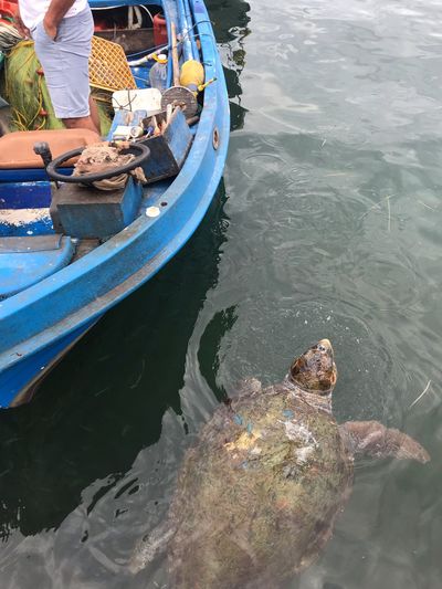 High angle view of boat in lake