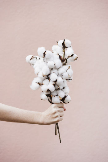 Woman holding bunch of cotton plant in front of pink wall