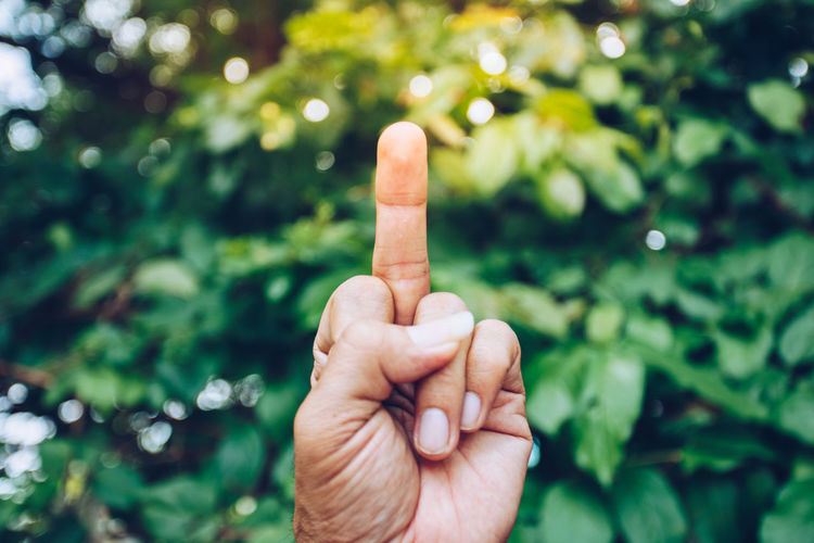 Cropped hand showing obscene gesture against plants