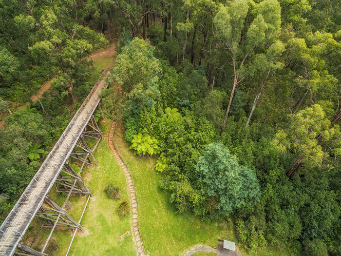 High angle view of railway bridge amidst trees in forest