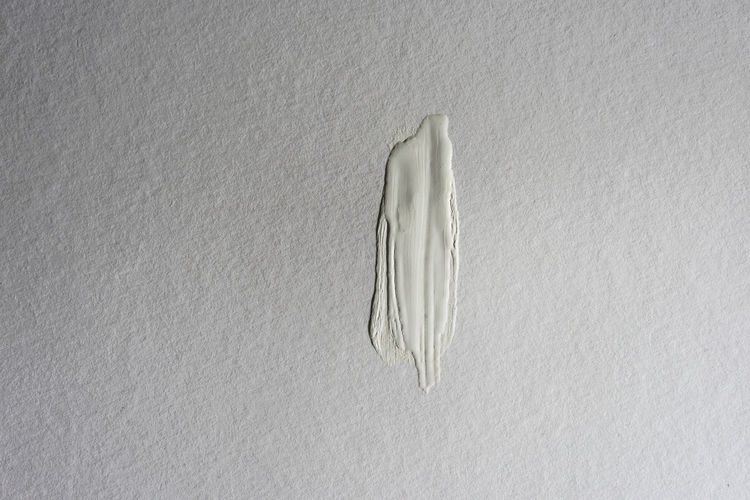 High angle view of feather on white wall
