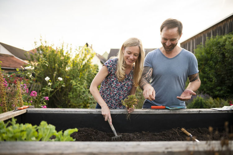 Woman sowing seed while planting in garden with boyfriend