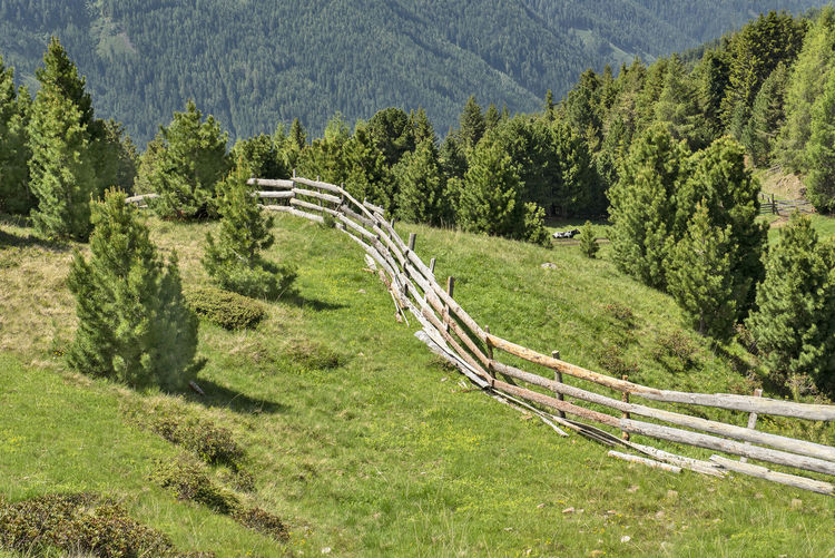 Scenic view of landscape