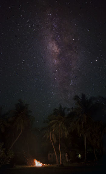 Silhouette trees against star field at night