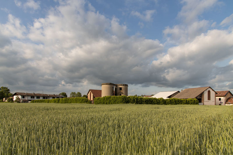 Agricultural field by houses against sky