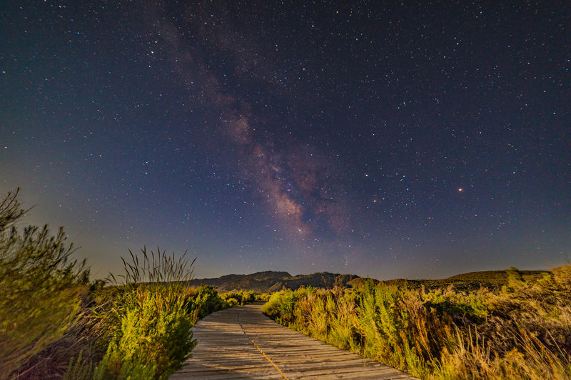 Footpath amidst plants against milky way