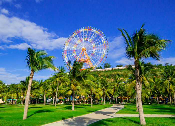 Ferris wheel by palm trees against blue sky