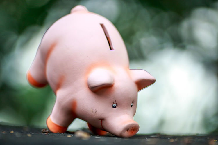 Close-up of piggy bank