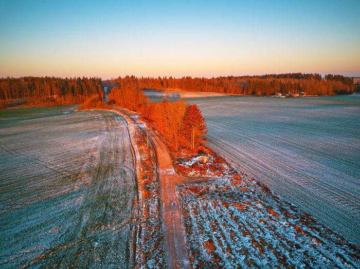 Winter green agricultural field winter crops  snow. tree december sunset aerial scene. rural road