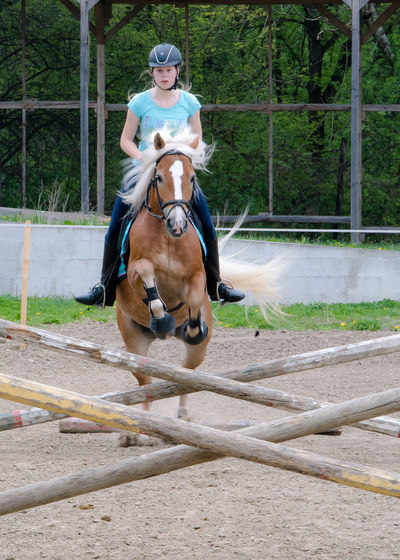 Female jockey jumping horse over hurdles