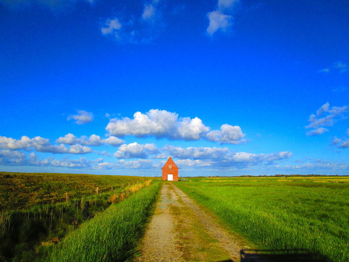 Road amidst field against blue sky