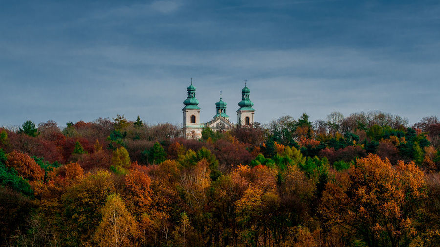 View of autumn trees against cloudy sky