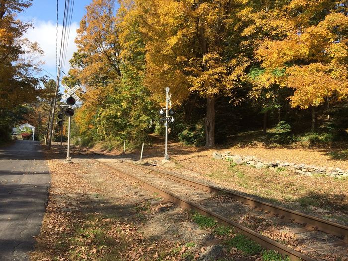 Railroad tracks by trees during autumn