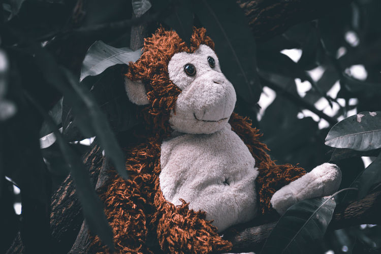 A stuffed monkey sitting on a branch of a mango tree