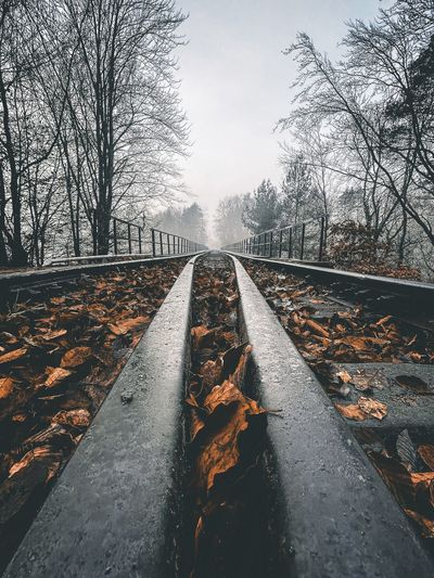 Surface level of railroad track amidst bare trees during autumn