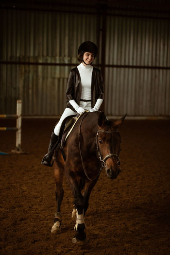 Unknown rider on a dressage horse. an abstract shot of a horse