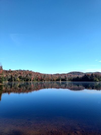 Scenic view of lake against clear blue sky