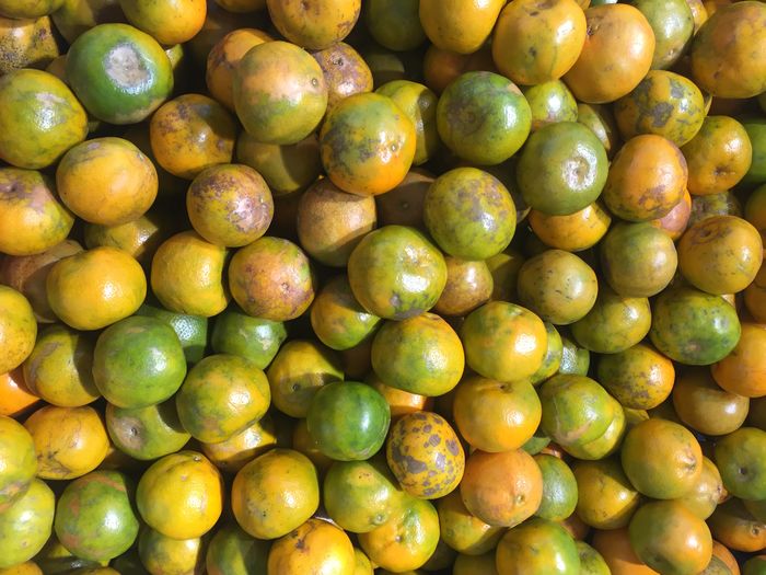 Full frame shot of fruits for sale in market