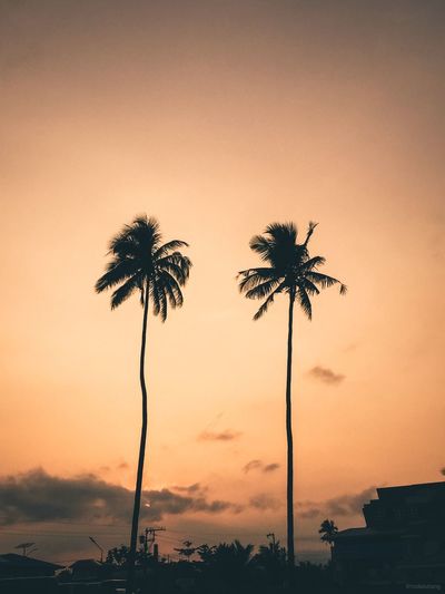Low angle view of silhouette palm trees against romantic sky