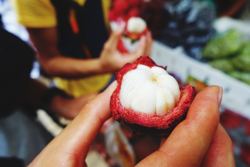 Cropped image of hand holding mangosteen