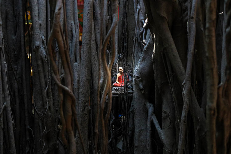 Statue of woman seen through tree trunks in forest