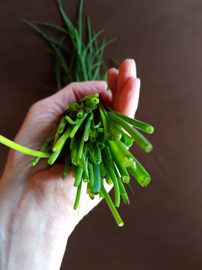 Close-up of hand holding chives at table