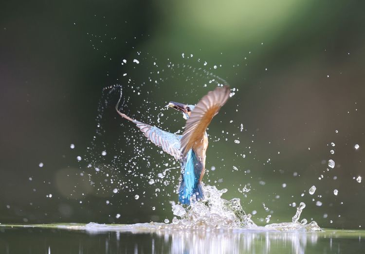 Low angle view of woman splashing water