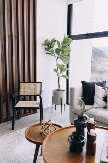 Potted plant on table at home