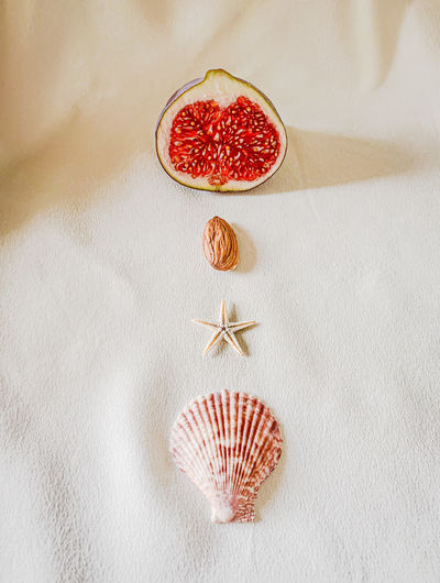 Dreaming of the last vacation - treasures of summer