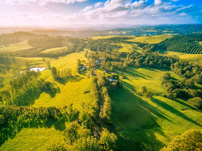 Beautiful countryside at sunset with trees casting long shadows - aerial view