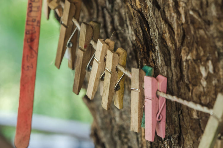 Close-up of padlocks hanging on tree trunk