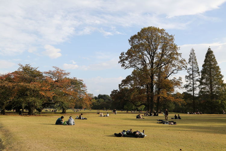 People at park during autumn