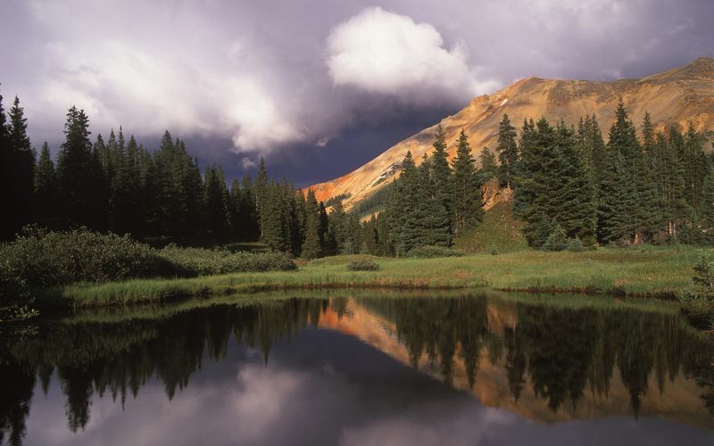 Scenic view of lake in forest