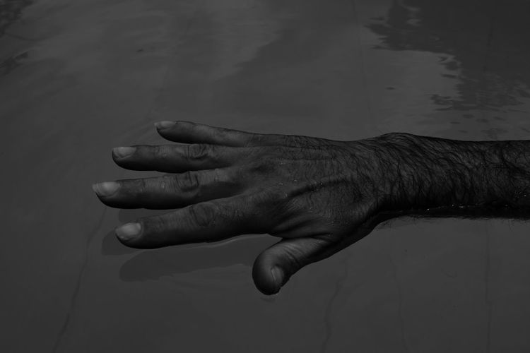 The mens hand